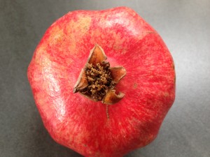Granatapfel