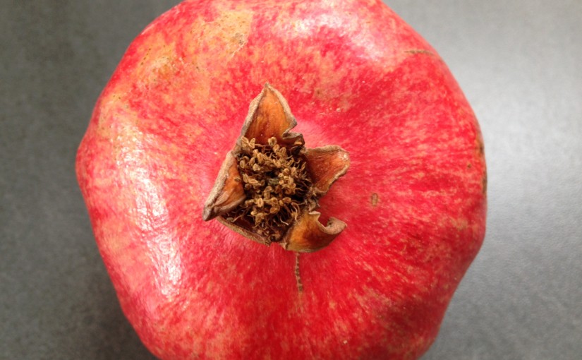 Granatapfel