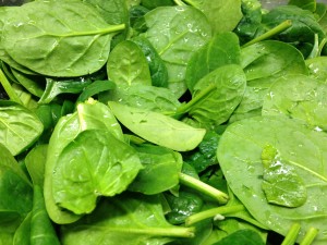 Baby Spinat