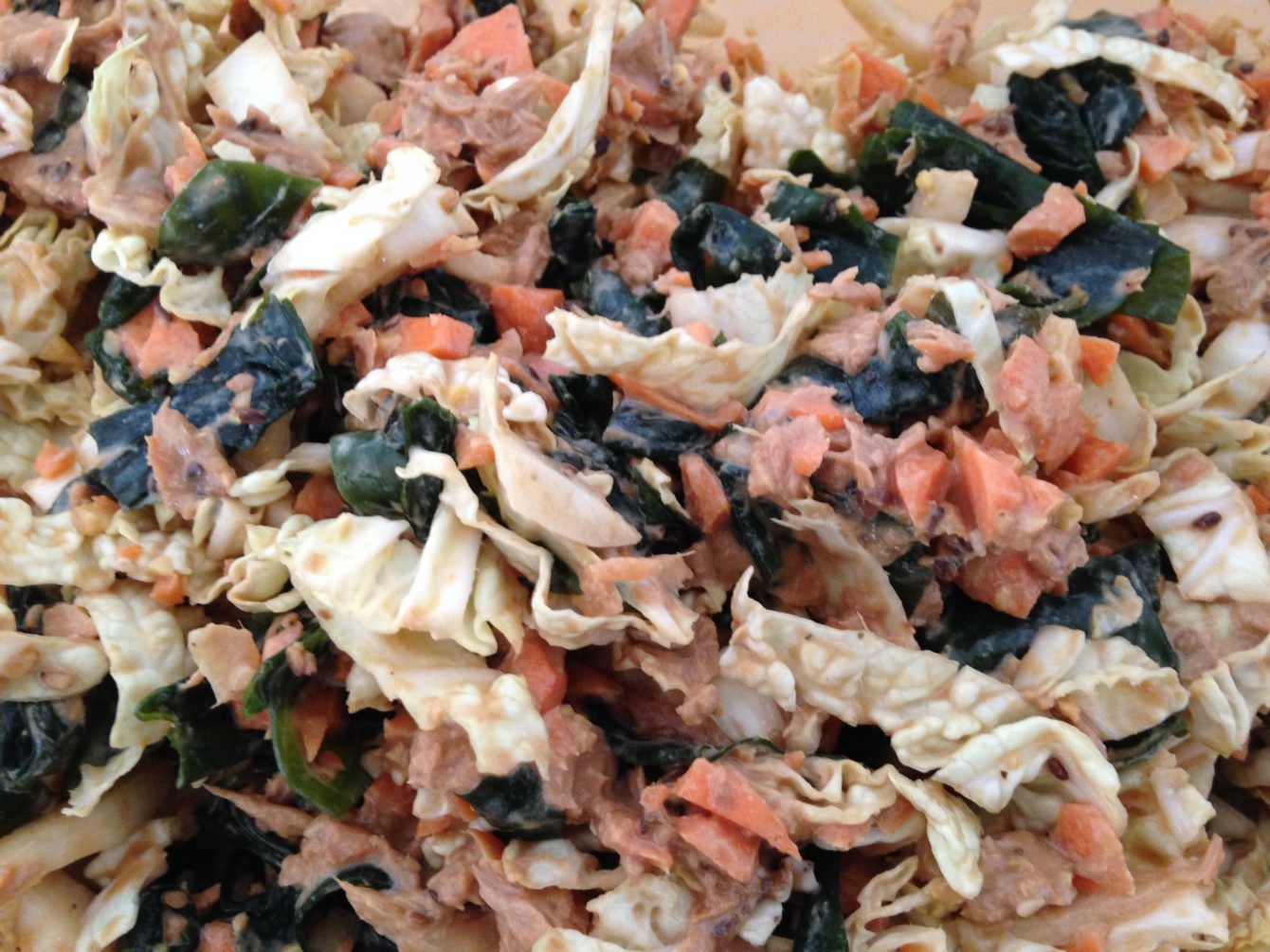Chinakohl, Thunfisch, Karotten, Wakame Algen Salat mit Sesam Tahine Miso Dressing