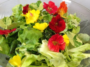 Sommersalat mit Blüten