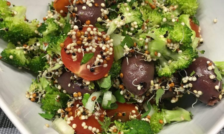 Brokkoli Salat mit getrockneten Tomaten, schwarzen Oliven, Kichererbsen und Quinoa Sprossen
