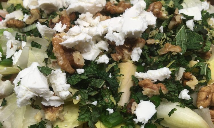 Chicorée Salat mit Apfel, Radieschen und Kokos Avocado Zitronen Dressing