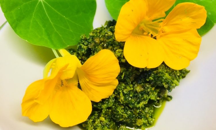 Kapuzinerkresse Pesto