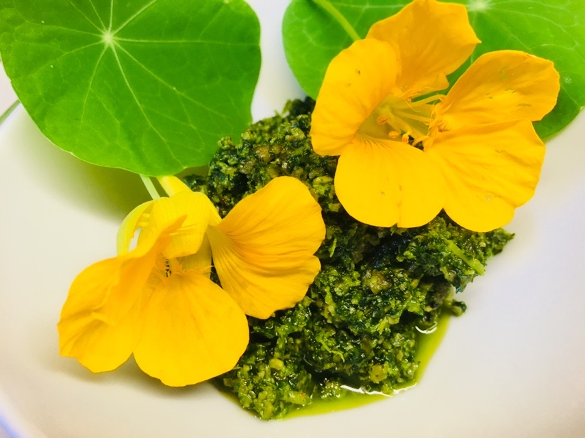 Kapuzinerkresse Pesto