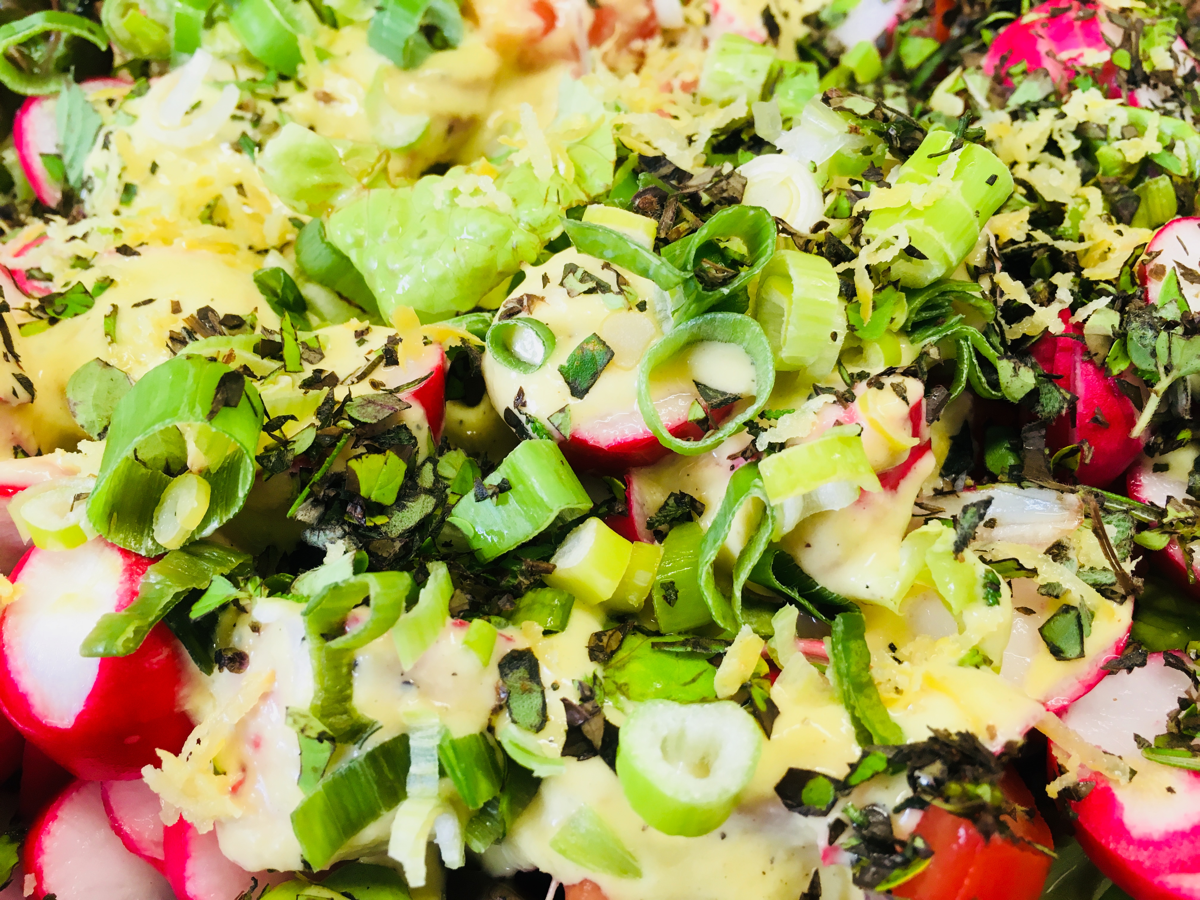 Salat mit Tomaten, Radischen und Schalotten-Senf-Dressing