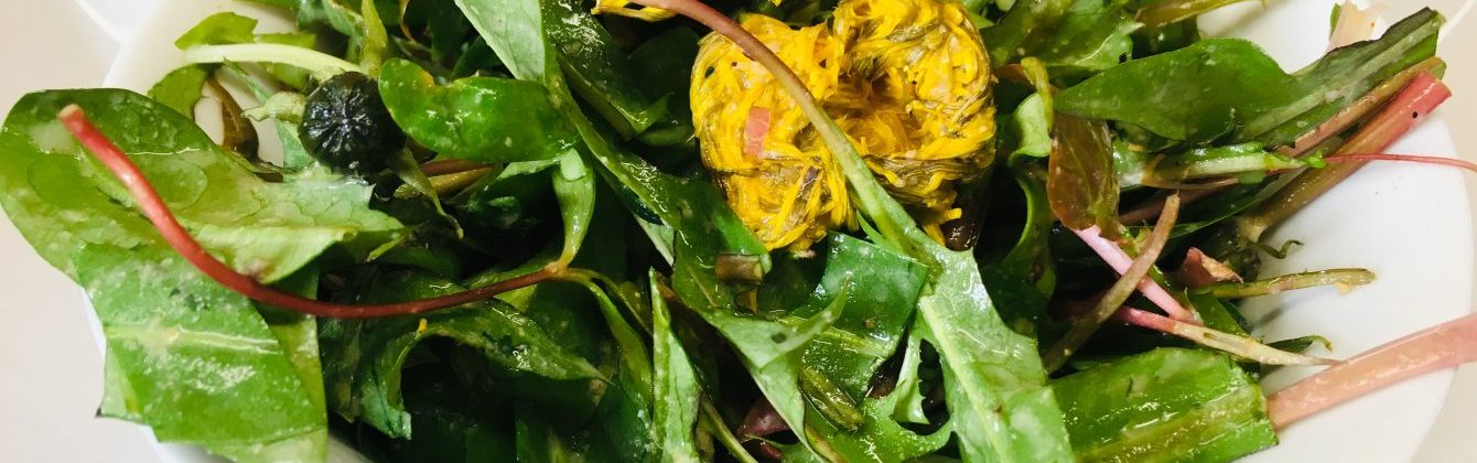 Wildkräuter Salat mit Miso Tahini Knoblauch Sauce
