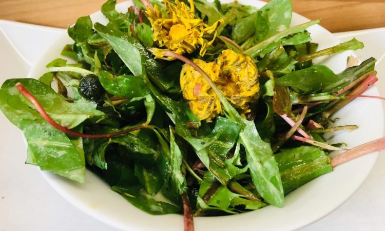 Wildkräuter Salat mit Miso Tahini Knoblauch Sauce