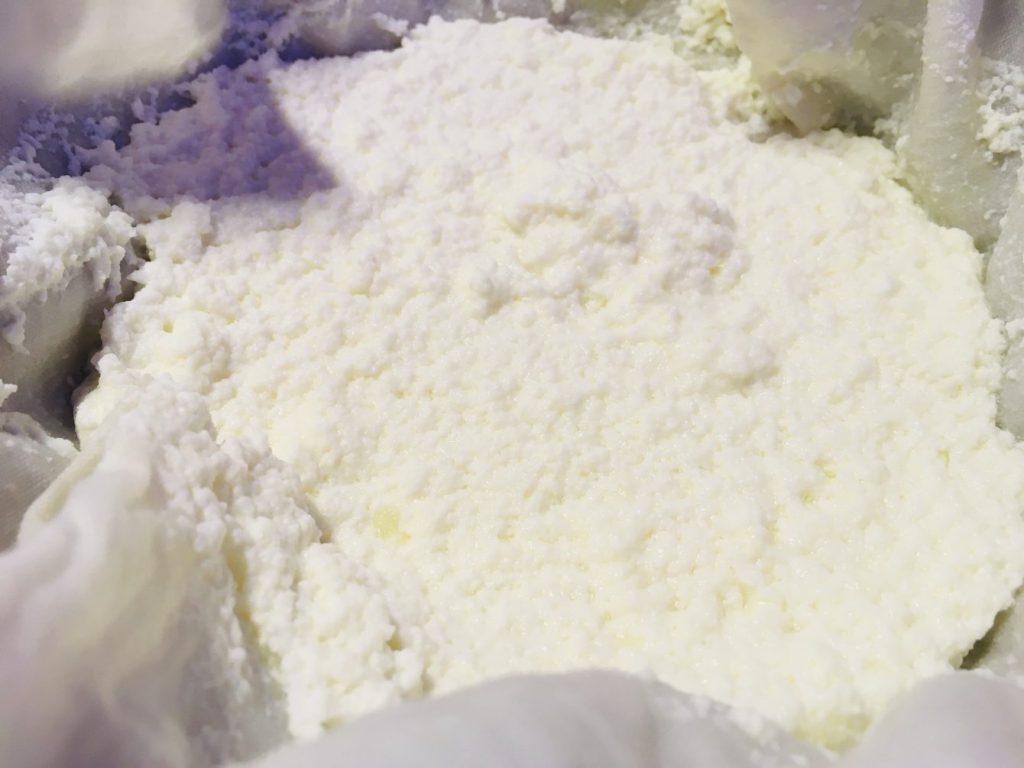 Selbstgemachter Ricotta Käse