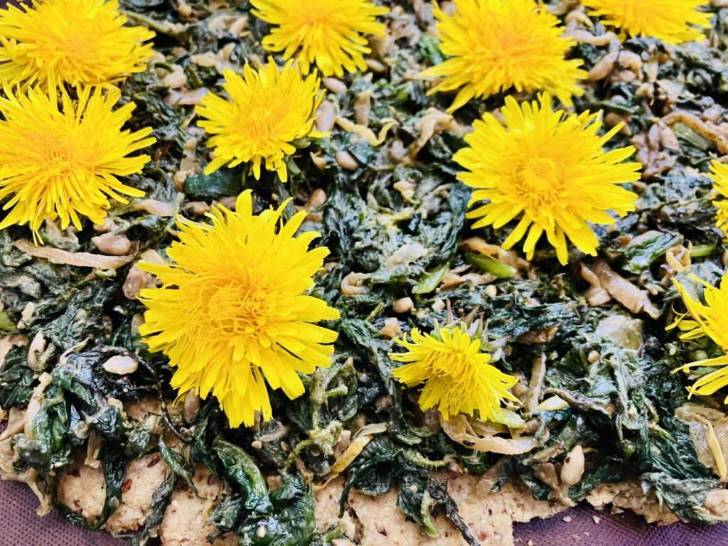 Brennnessel Bärlauch Tarte mit Löwenzahn Blüten