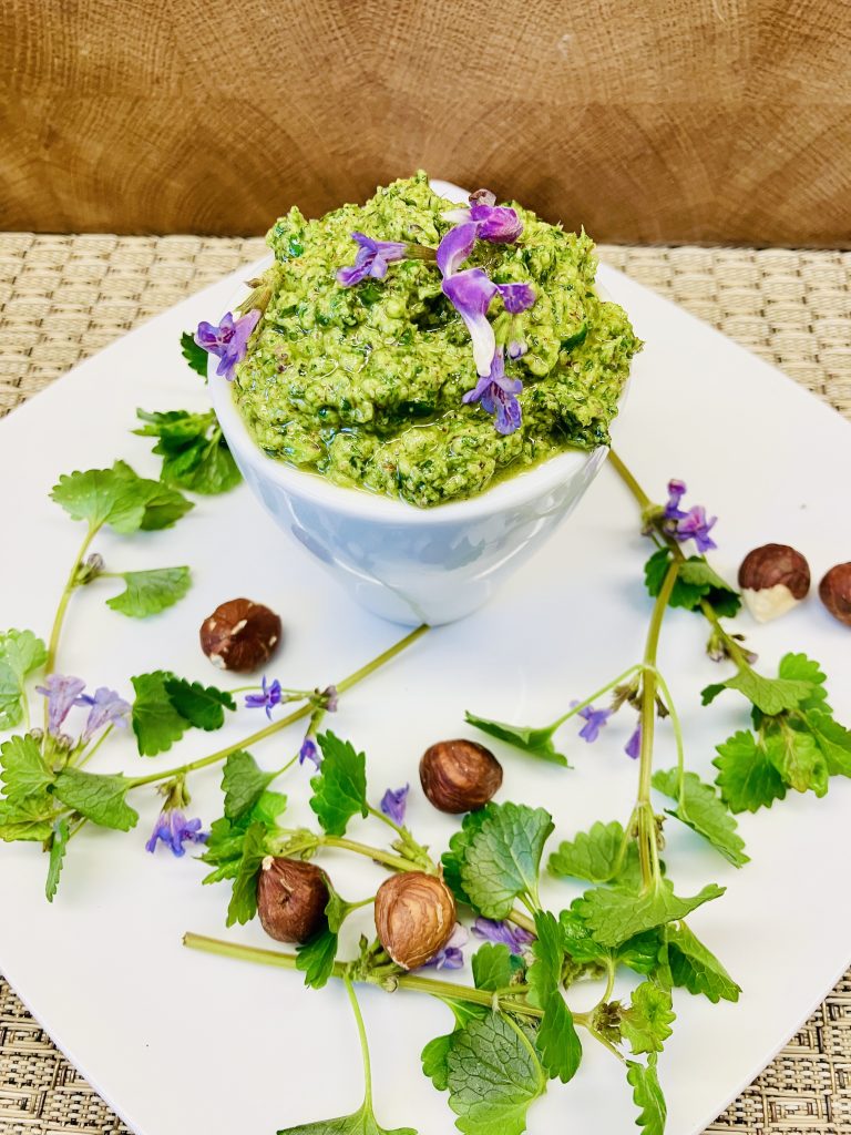 Gundermann Pesto mit gerösteten Haselnüssen