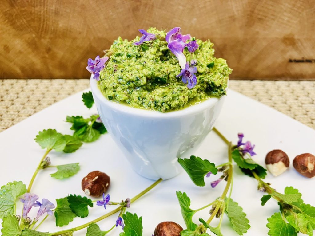 Gundermann Pesto mit gerösteten Haselnüssen