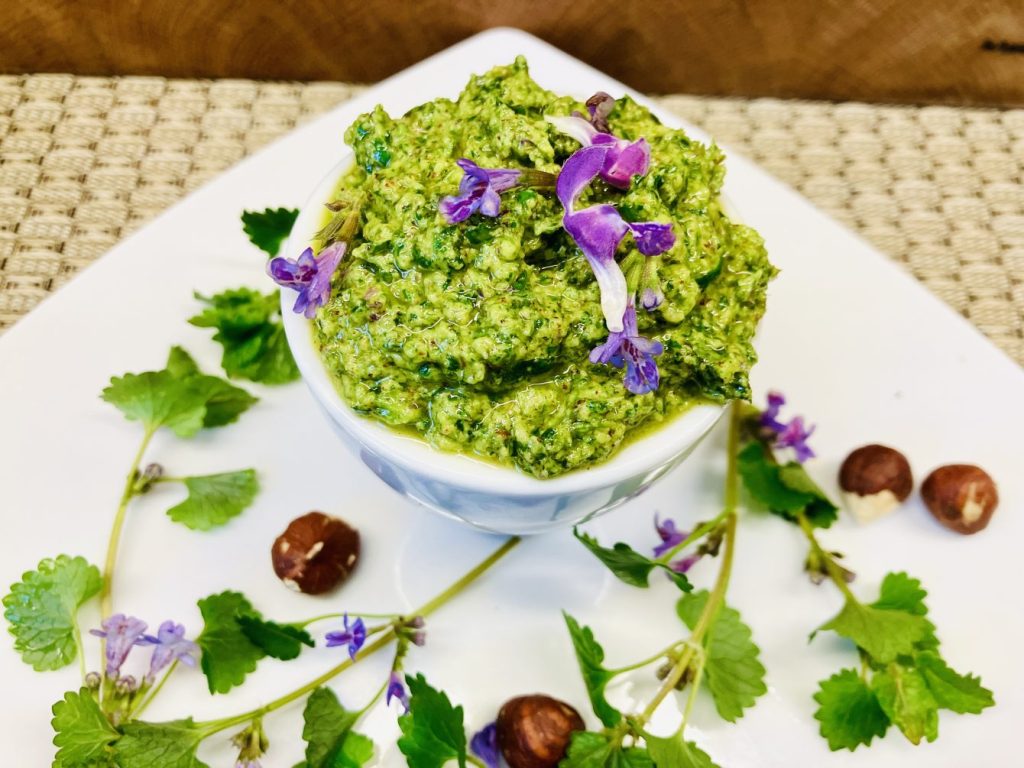 Gundermann-Pesto mit gerösteten Haselnüssen – Wildkräuterküche mit Charakter
