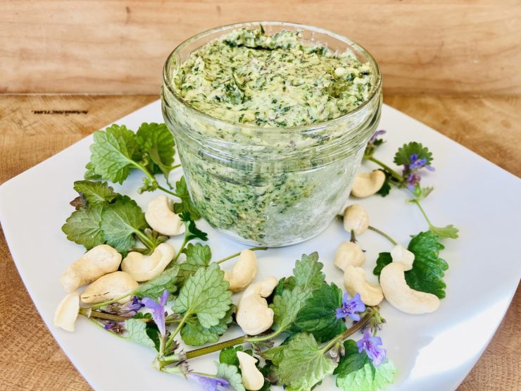 Gundermann Kokos Cashew Pesto