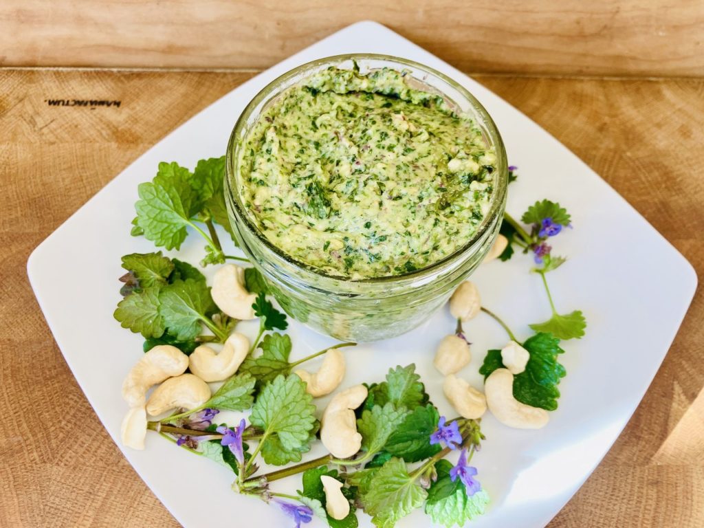 Gundermann Pesto Kokos Cashew
