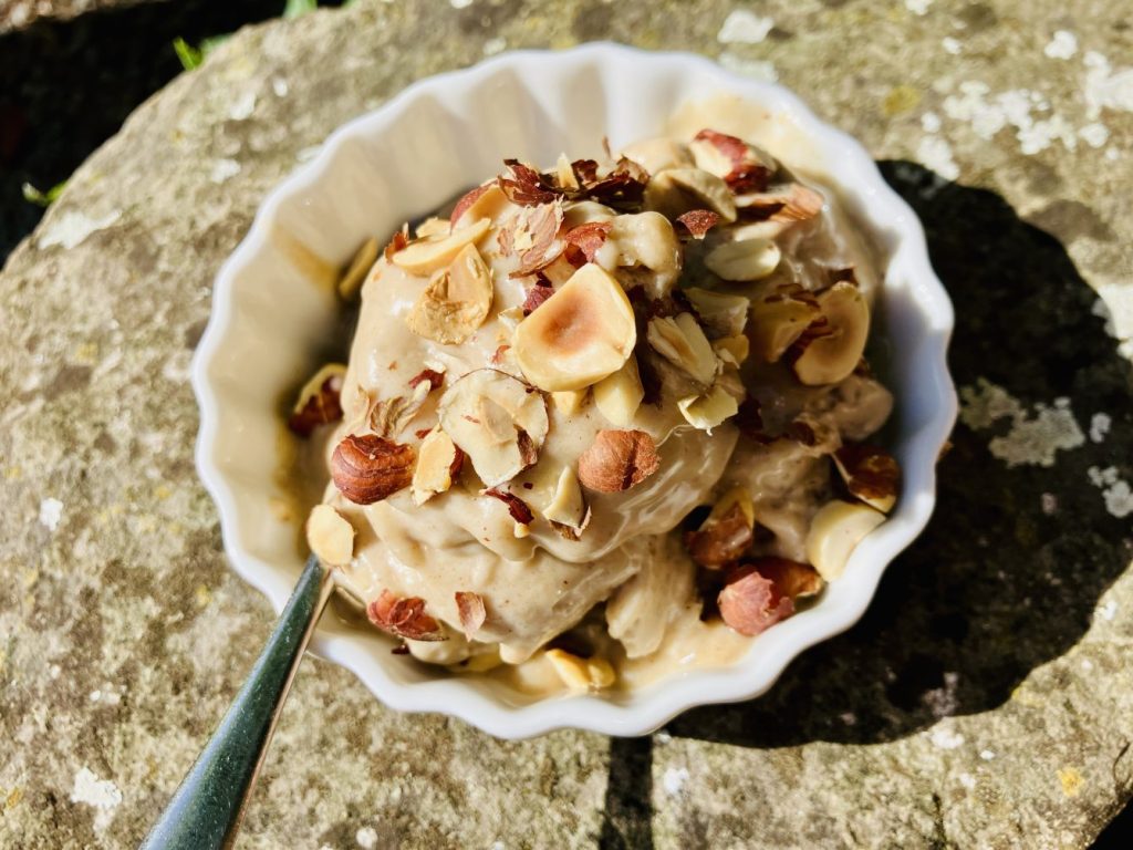 Maronen-Haselnuss Eis NICE cream